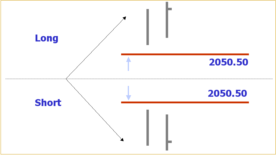 System Computed Macro Targets
